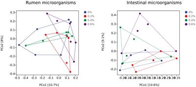 Influence of dietary Salicornia europaea L. extract supplementation on feed efficiency of Altay sheep by modifying their gastrointestinal bacteria communities